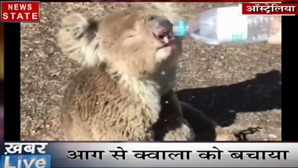 Khabar Live: ऑस्ट्रेलिया के जंगलों में आग का तांडव, आग से क्वाला का रेस्क्यू, देखें देश दुनिया की खबरें