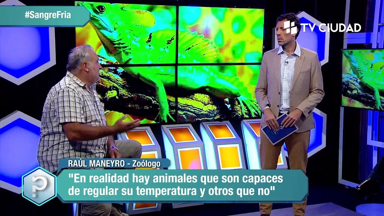 Fiebre