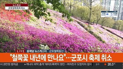 20만 철쭉 '활짝'…"아쉽지만 내년에 만나요"