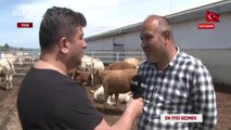 En İyisi Gezmek - 15 Haziran 2019