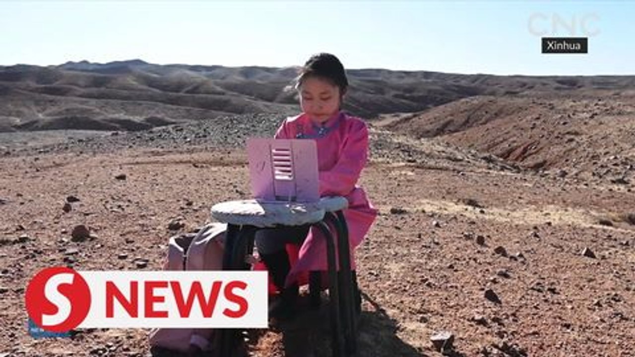 Studying online in Gobi desert