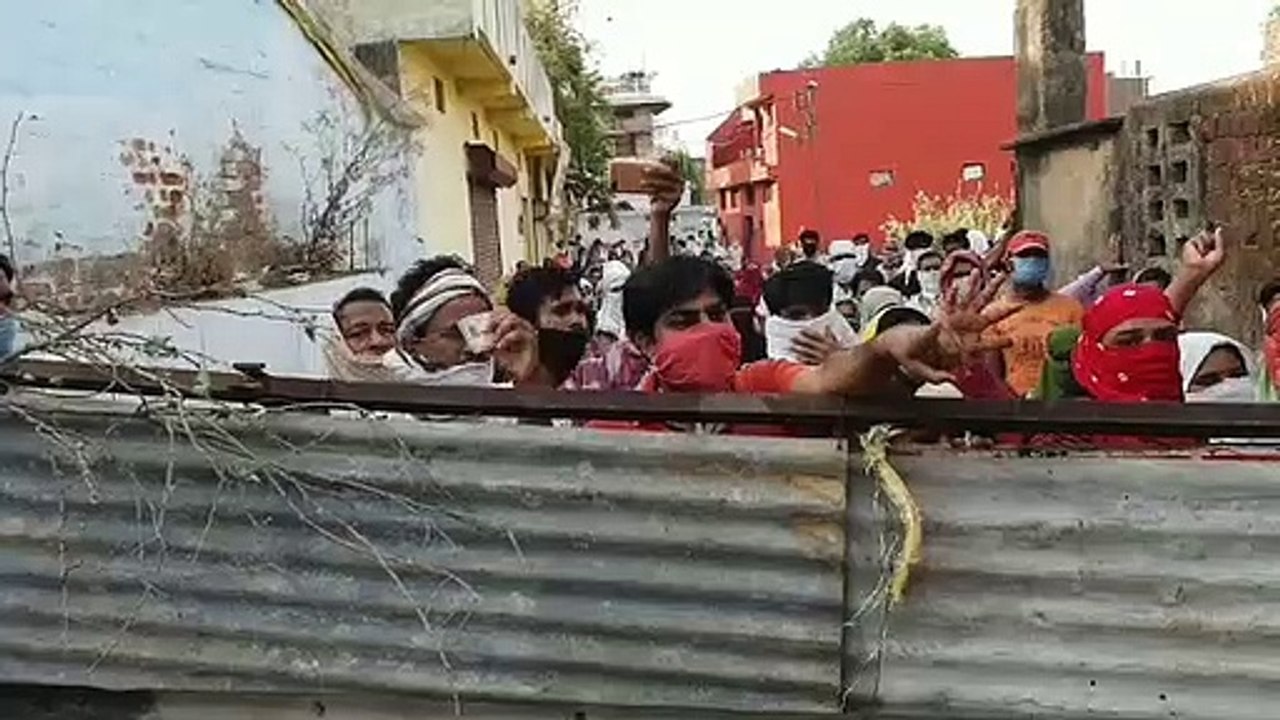 container sector