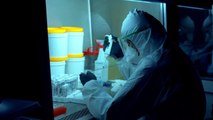 Düzce Üniversitesi'nde korona virüs testleri yapılıyor