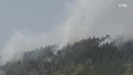 전남 화순 야산에 불 / YTN