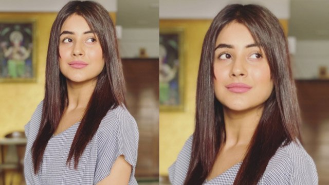 Shehnaz Gill Instagram पर Siddharth के अलावा सिर्फ इन्हें करती हैं follow;कौन हैं वो | FilmiBeat