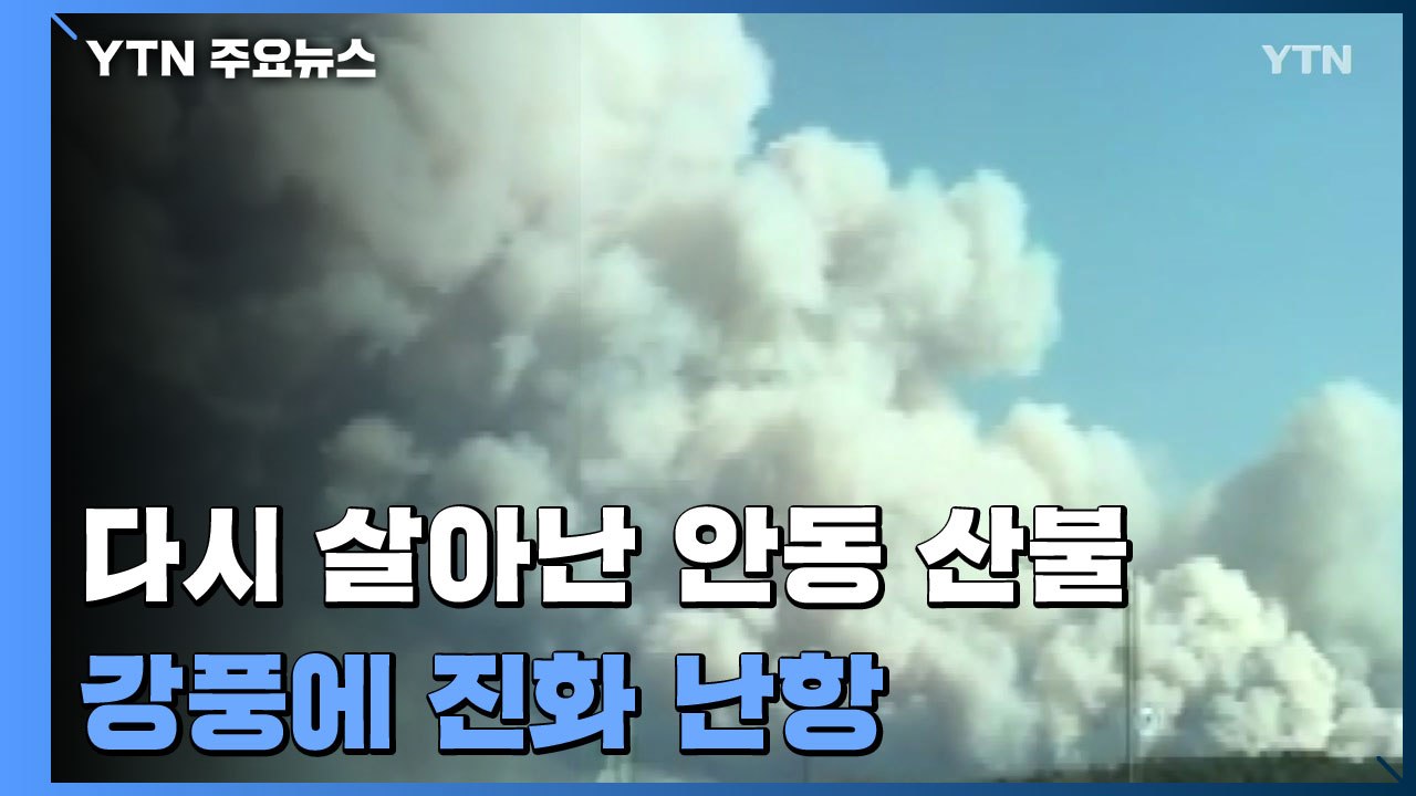 다시 살아난 안동 산불...강풍에 진화 난항 / YTN