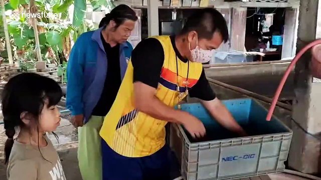 Farmer finds six-legged frog which has been 'bringing him good luck'