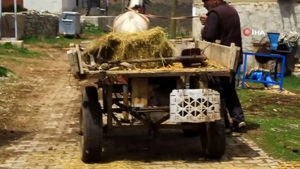 Kaymakam, patates ekiminde çiftçiye eşlik etti