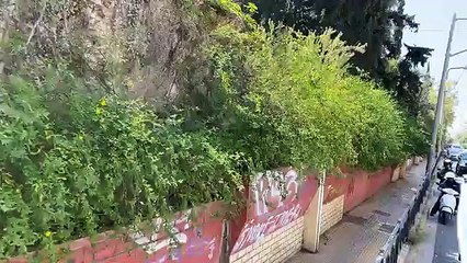 Απίστευτο! Η Άλκηστις Πρωτοψάλτη βγήκε στους δρόμους της Αθήνας και τραγουδούσε σε καρότσα φορτηγού!