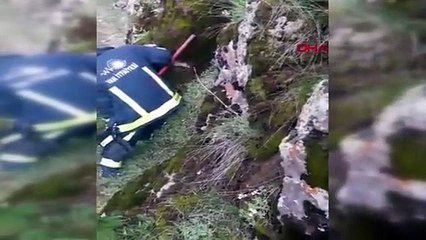 VAN Kayalıklarda mahsur kalan Bülent'i itfaiye kurtardı