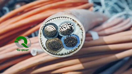 Quang Dat thu mua phe lieu dong gia cao TPHCM