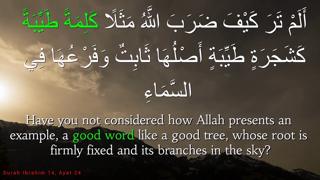 Surah ibrahim 014:024