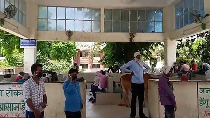 MORENA : जिला अस्पताल में जमा लोगों की भीड़, न किसी पर मास्क न ही सोशल डिस्टेंसिंग