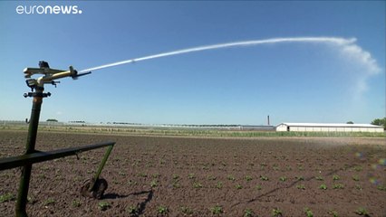 Az idei termést veszélyezteti a szárazság Európa keleti részén