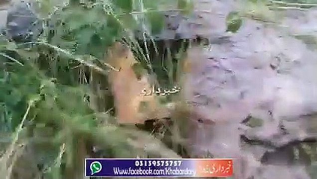 Darra Adam Khel ke Sarsabz Shadab Khobsorat Paharon par Jala Bari.