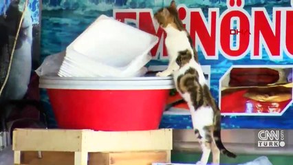 İstanbul sessizliğe büründü