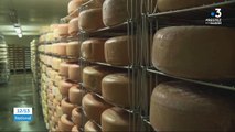 Pyrénées-Atlantiques : les fromagers béarnais ont trop de stock
