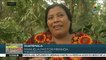 Guatemala: pequeños productores prevén posible colapso económico