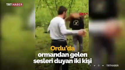 Yaralı karacayı sırtlarında taşıyarak tedaviye götürdüler