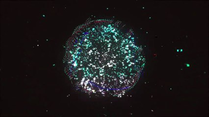 Top 5 Couples In Wrestling