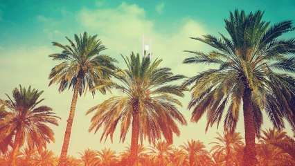 How To Book? Fanmade Roman Reigns Vs The Rock