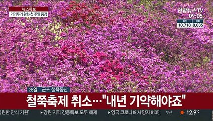 거리두기 완화 첫 주말…"나오니 좀 살 것 같아요 "