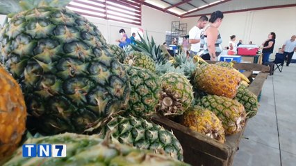 tn7-espacio-para-agricultores-250420