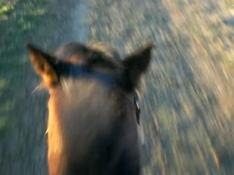 CIMG0444