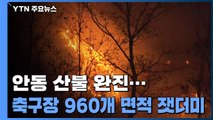 안동 산불 완진...축구장 960개 면적 잿더미 / YTN