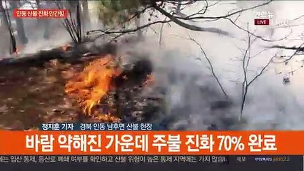 안동 산불 사흘째…진화 총력 속 오전 최대 고비