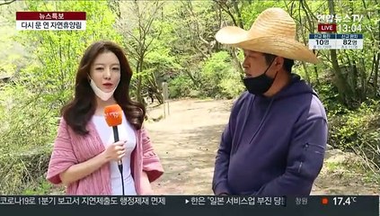 다시 문 연 자연 휴양림…나들이객 발길 이어져