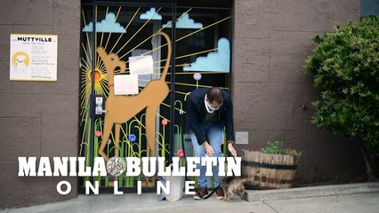 Pet adoptions, fosters skyrocket in US amid pandemic