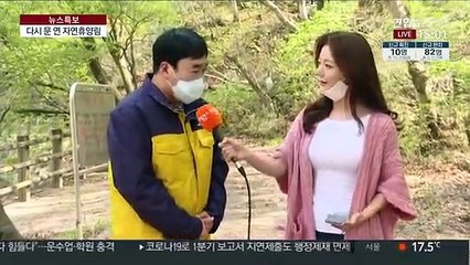 다시 문 연 자연 휴양림…나들이객 발길 이어져