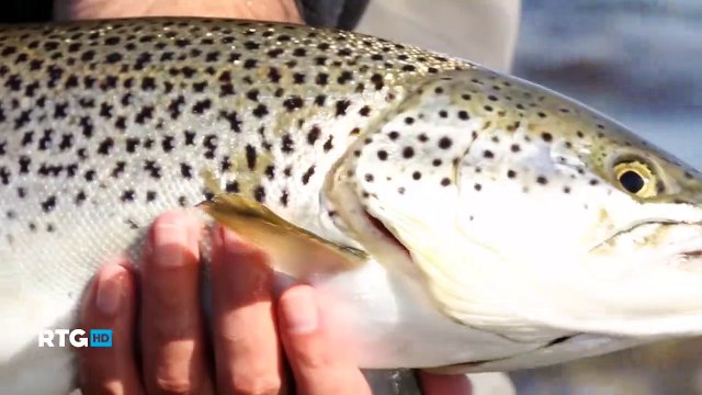 044 Ловля кумжи на берегу Баренцева моря