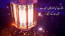 Ramzan Mubarak WhatsApp Status 2020 - Ramadan Status - Ramadan kareem - Ramzan Coming soon