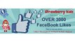 Strawberry Kids with 3000+ Facebook Likes part 2 __ lalganj st pauls school