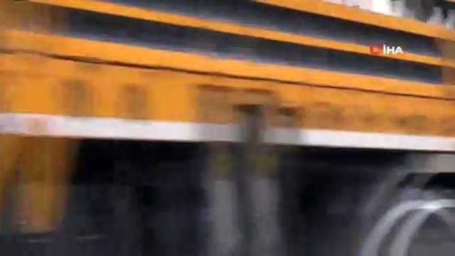 Boş kalan cadde ve sokaklarda başıboş atlar ve köpekler kamerada