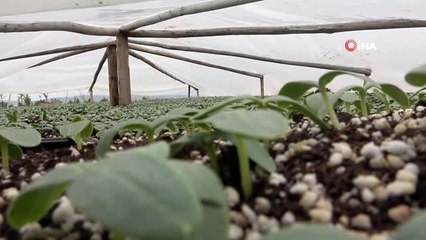 Elazığ'dan 1 milyon fideyle "Biz Bize Yeteriz Türkiyem" kampanyasına destek