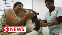 Vets allowed to treat pets but by appointment only, says Ismail Sabri