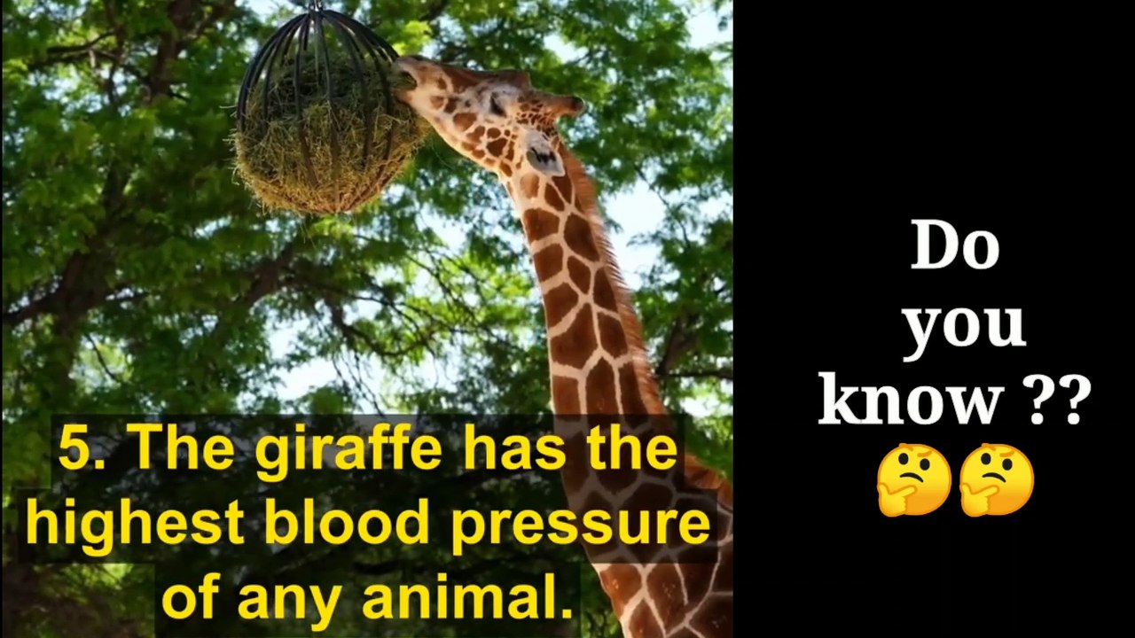 Top 20 Interesting Facts- Part 2