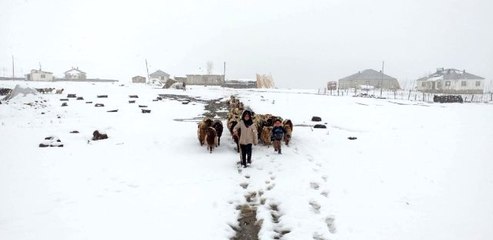 Van'da Nisan ayında kar sürprizi