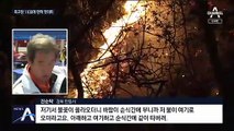 안동 산불, 축구장 1100개 면적 불타…발화점 CCTV 확보
