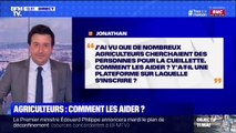 Comment aider les agriculteurs pour les cueillettes ? BFMTV répond à vos questions