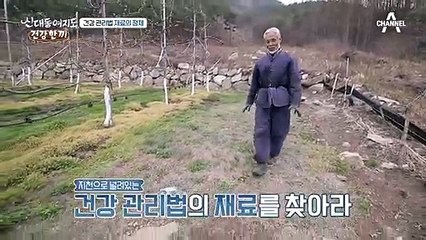 위암을 극복한 주인공! 건강관리법 정체는 바로 민들레...?