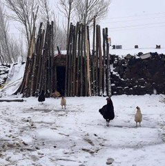 Van'da Nisan ayında kar sürprizi