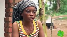 Lutte contre le paludisme - Un medicament combattu par l´ OMS