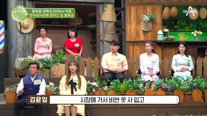 스스로 북한으로 돌아간 김윤일 탈북민... 그가 재입북이란 선택을 한 까닭은?