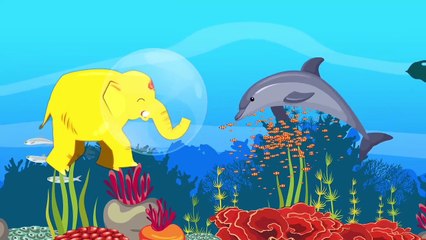 Learn colors Vlog Ocean Exploration 2 jellyfish squid seahorse clam anchovy Number Color Play Toddler animation