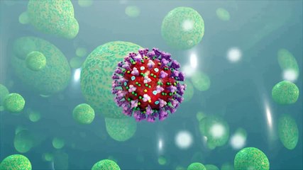 Coronavirus Outbreak (Covid 19) Explained Through 3D Medical Animation-D