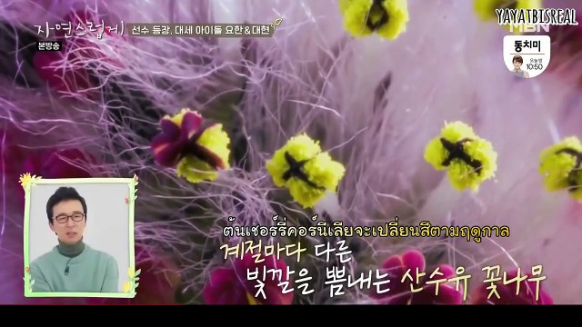 [ซับไทย] 200328 อยู่กับธรรมชาติ ไปกับ โยฮัน&แดฮยอน คัท